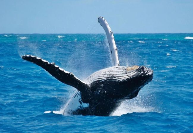 WhatsAppImage2024-01-12at11