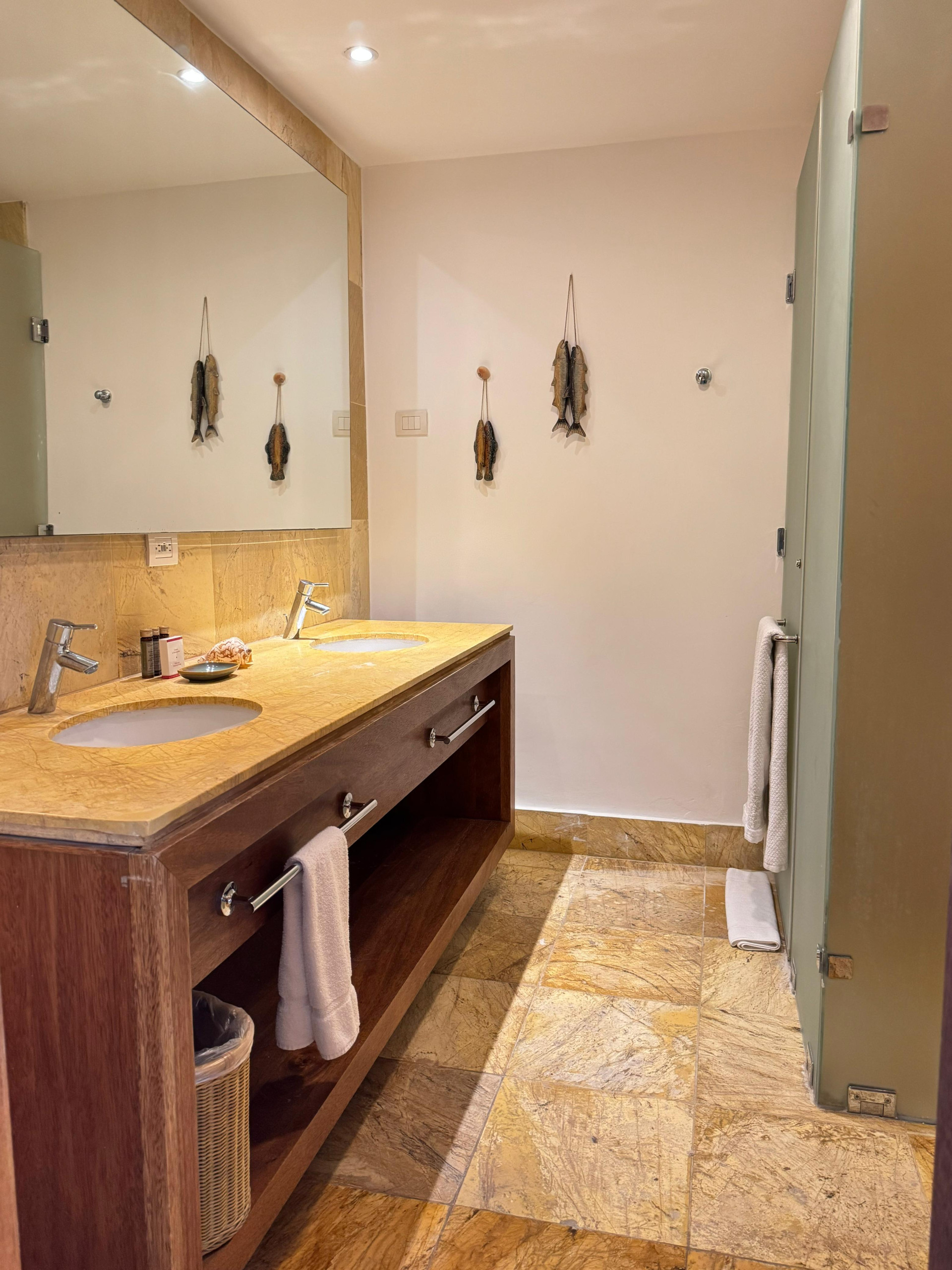 WhatsAppImage2025-09-09at2