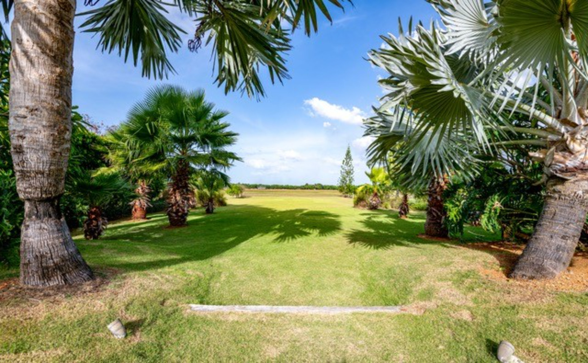 thumbnail_DSC_3068-Editar