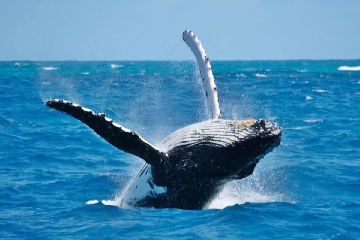 694affb198ade2a2e85a0276