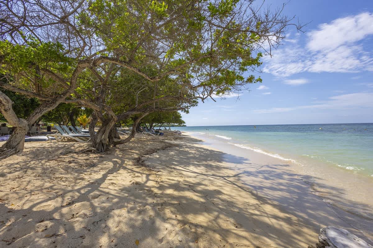 69444495914dba2e072f81c1