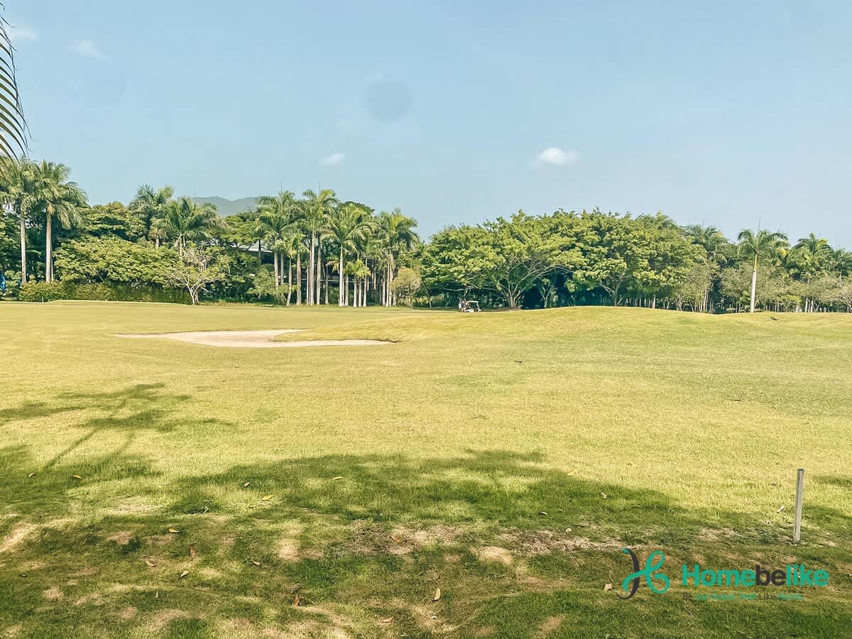 69a097daa0b4e0c7d462b389