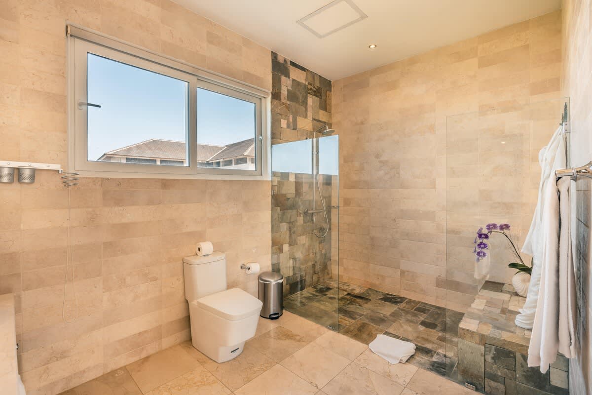 69a0a04fa0b4e0c7d462cc51