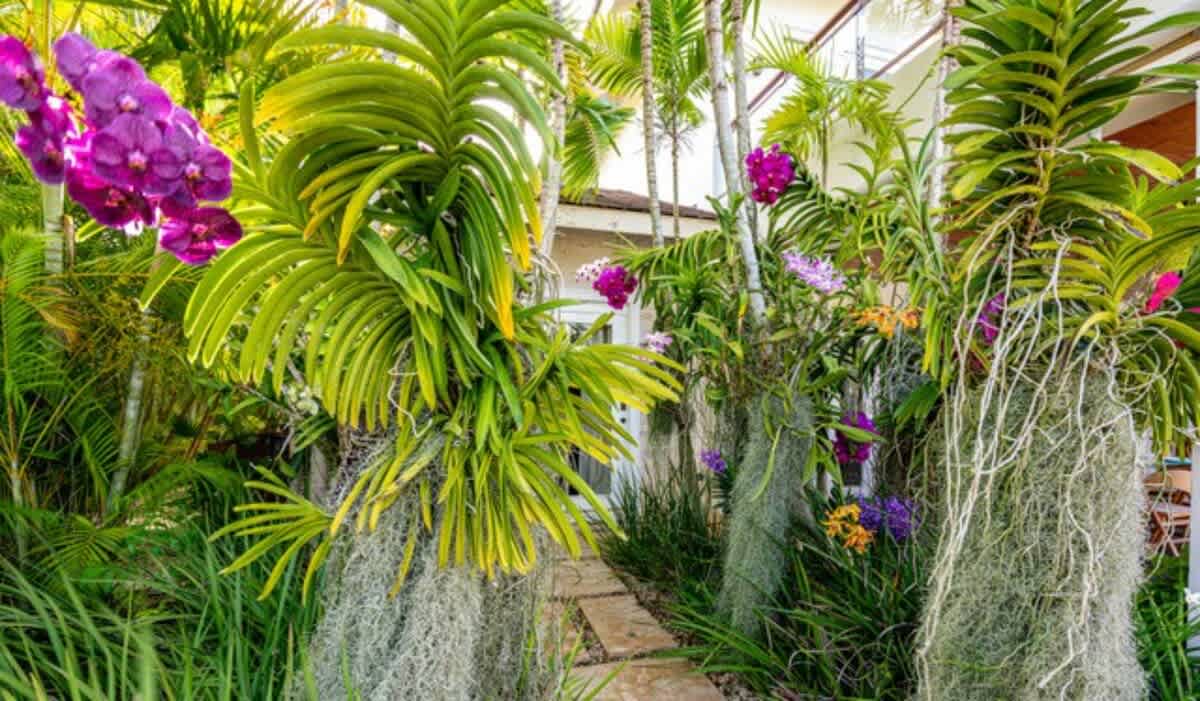 69444490914dba2e072f8160