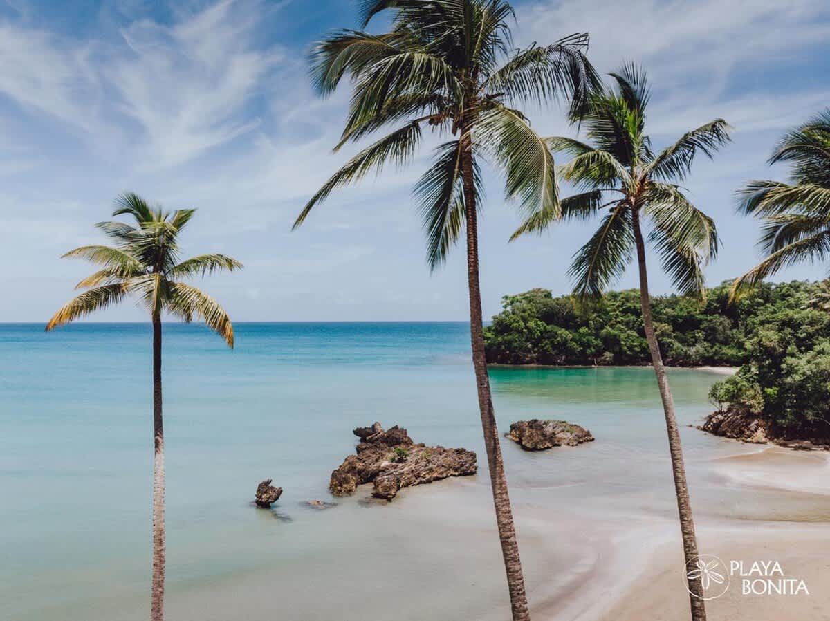 694aff359ffb66b812e20f1f