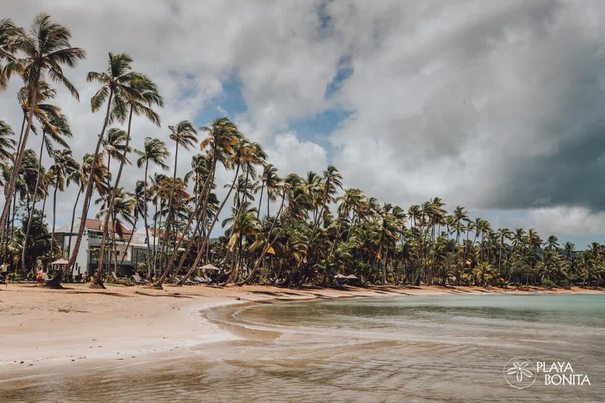 694aff359ffb66b812e20f23