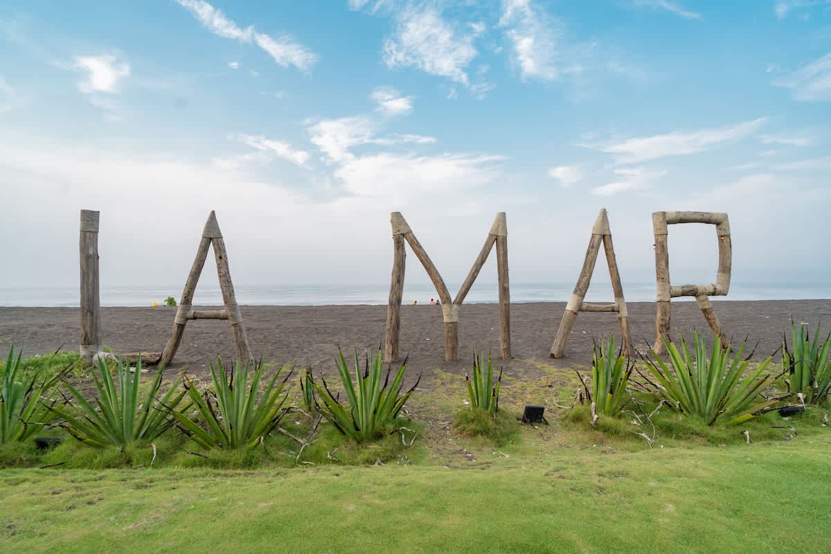 694aec0f98ade2a2e859c6f4