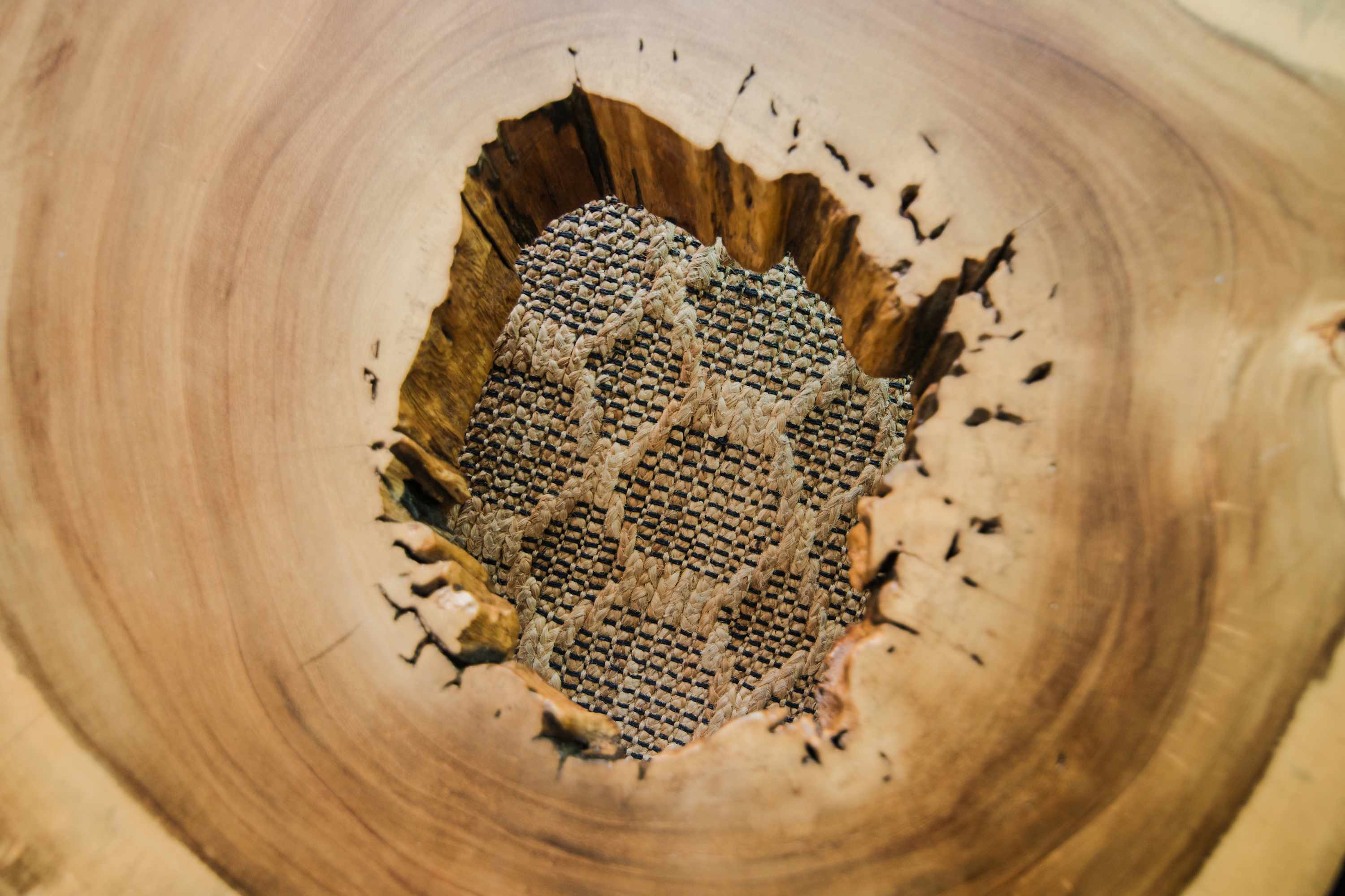 69aa35d5e28c3000317af2b3