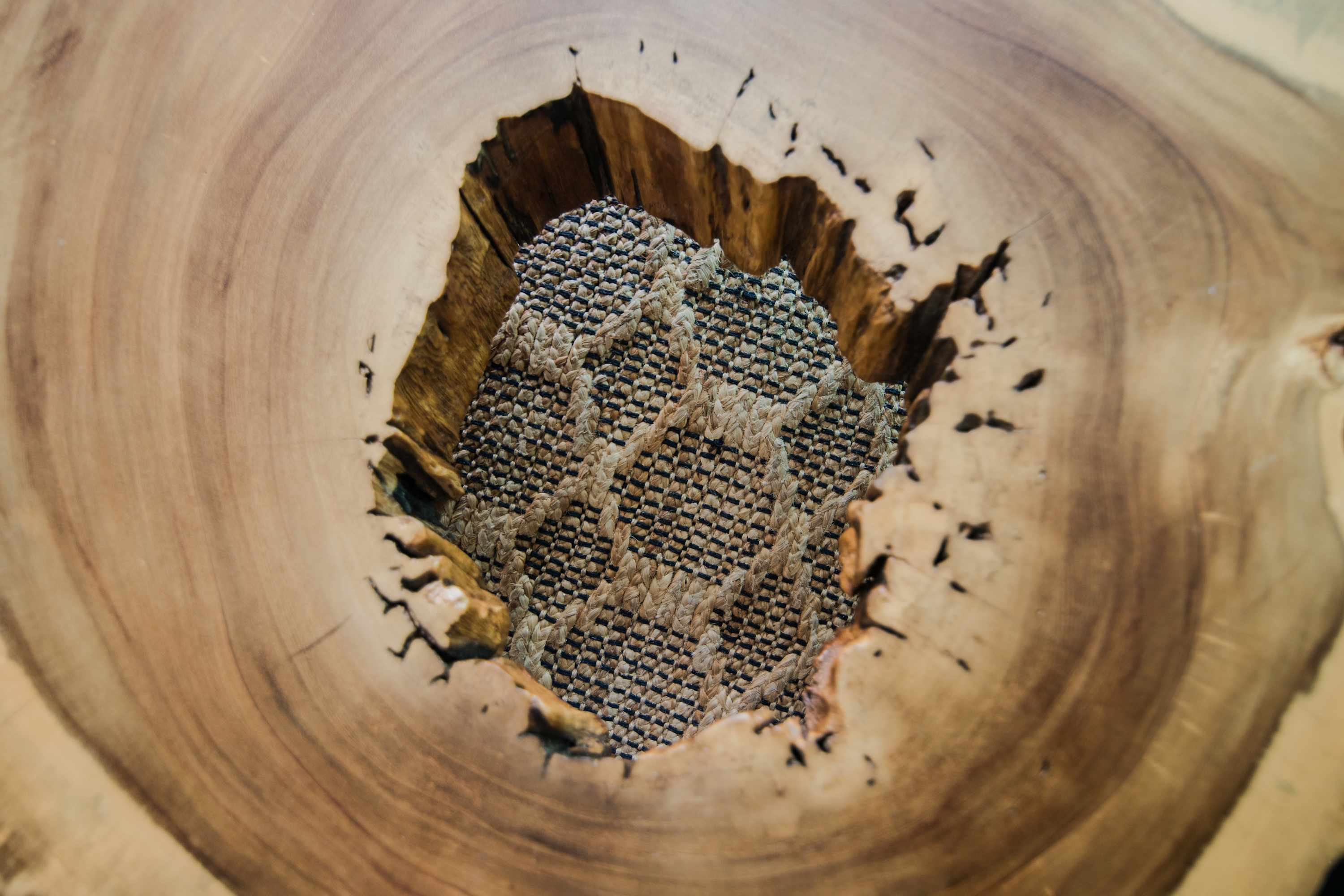 69aa35d5e28c3000317af2b2