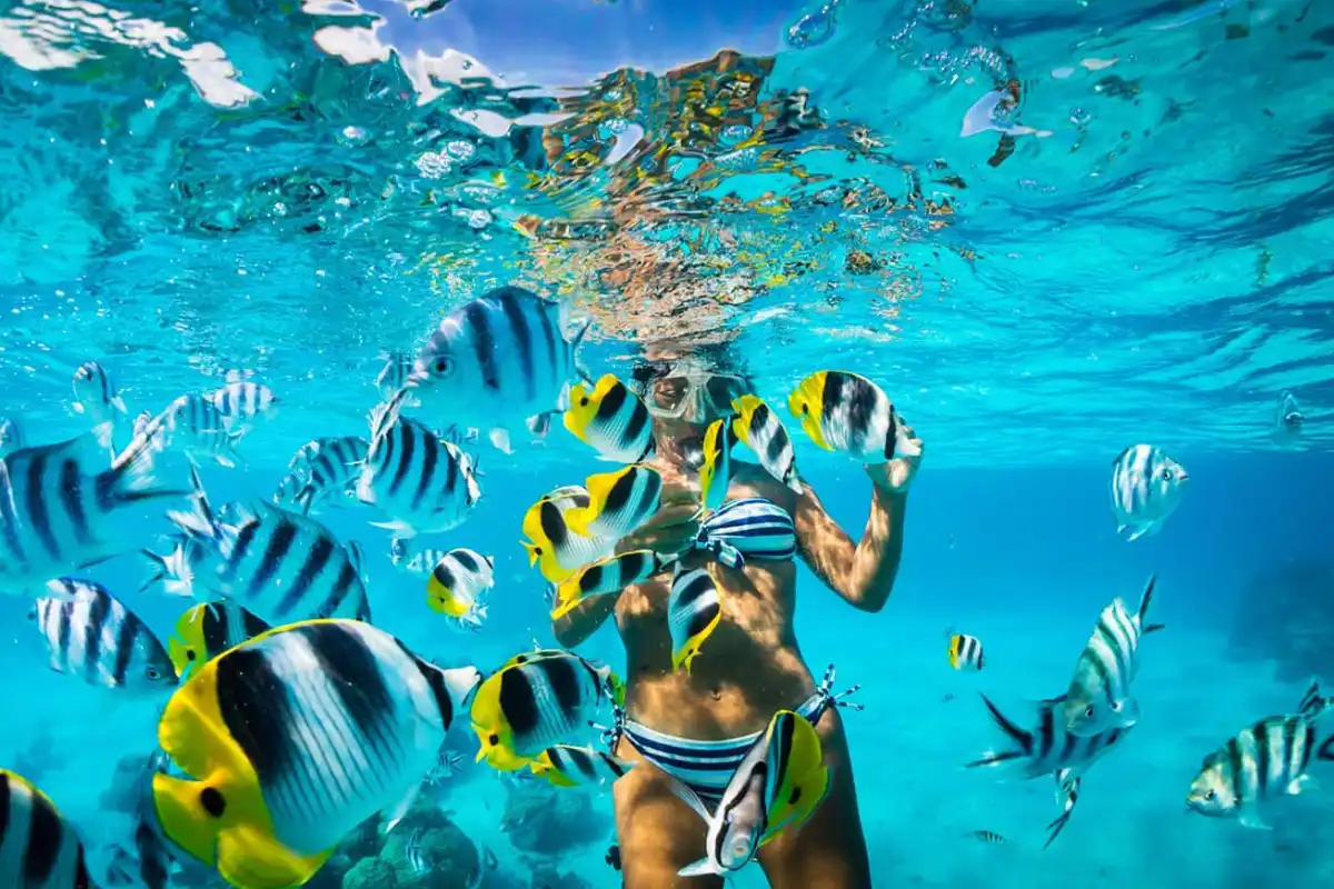 Read more about the article Best Caribbean Islands to Visit in December If You Love the Sun