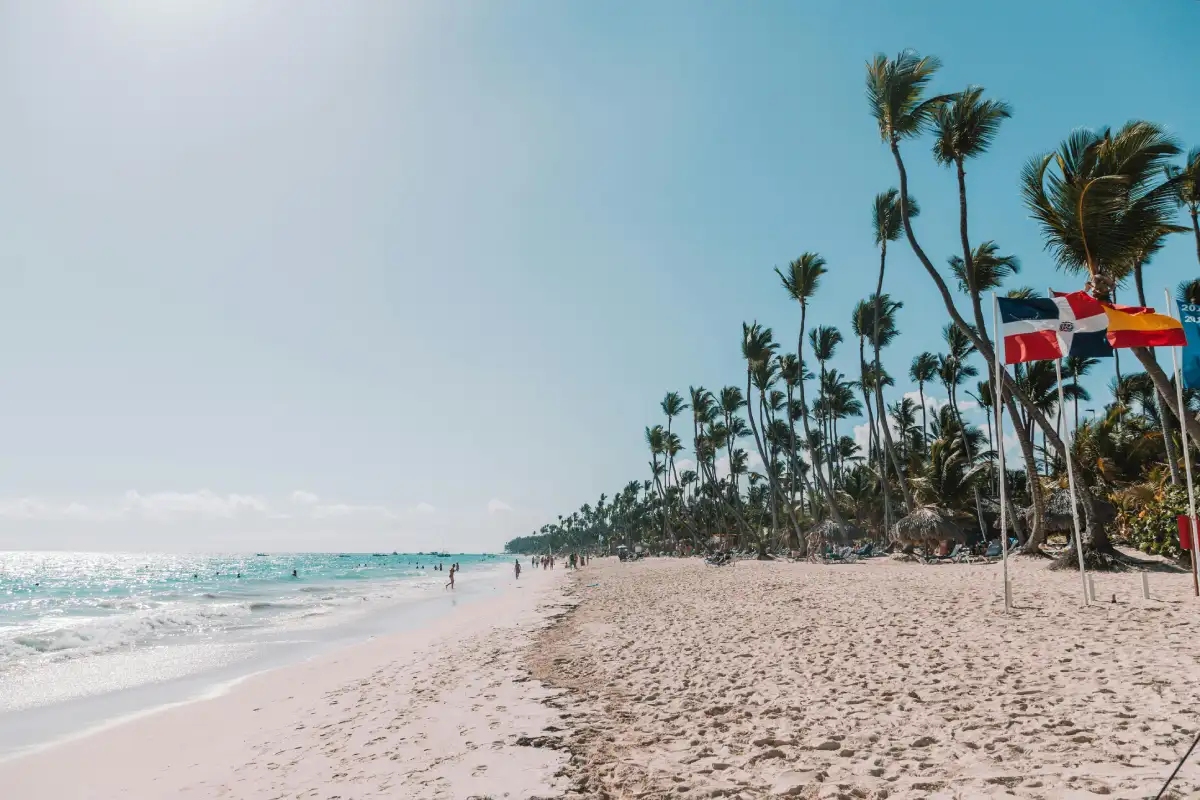 Read more about the article Best diving in the Caribbean: explore premium underwater adventures