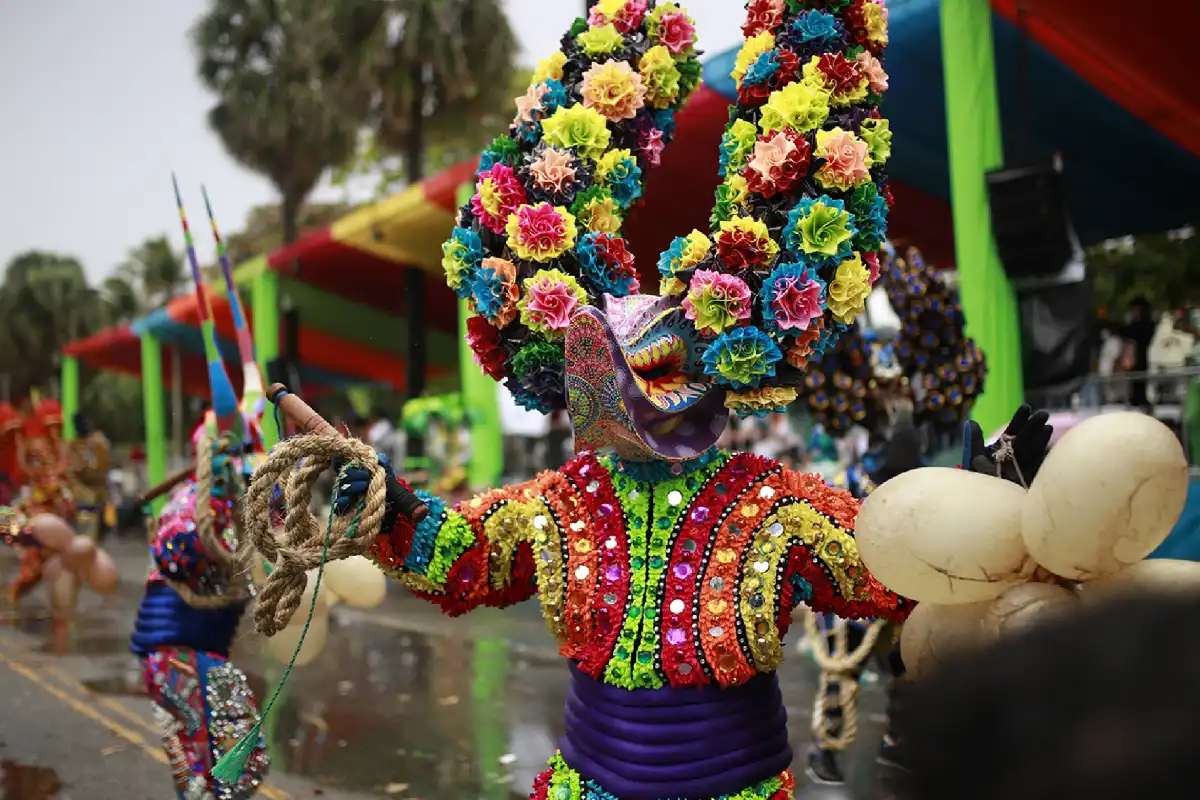 Read more about the article The soul of the Caribbean: Immerse yourself in the rich Dominican culture