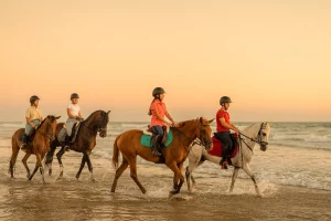 Read more about the article Horseback riding in Punta Cana for luxury getaways